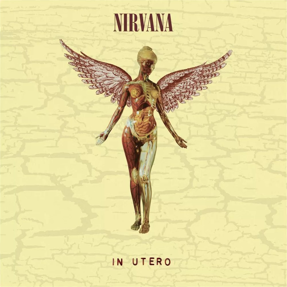Рок Universal (Aus) Nirvana - In Utero - deluxe (Black Vinyl 2LP)