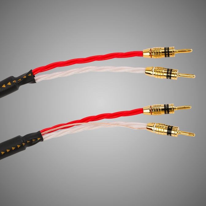 Кабели акустические с разъёмами Tchernov Cable Reference DSC SC Bn/Bn 1.65m