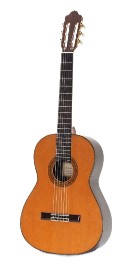 Классические гитары Esteve 9C/B CD (кейс в компл.) классические гитары manuel rodriguez mod c3