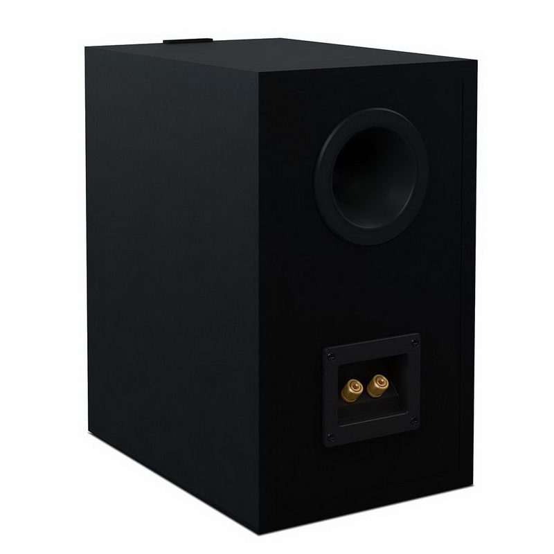 C полочной акустикой IOTAVX IOTAVX NP3 + KEF Q150 Satin Black, цвет черный - фото 2