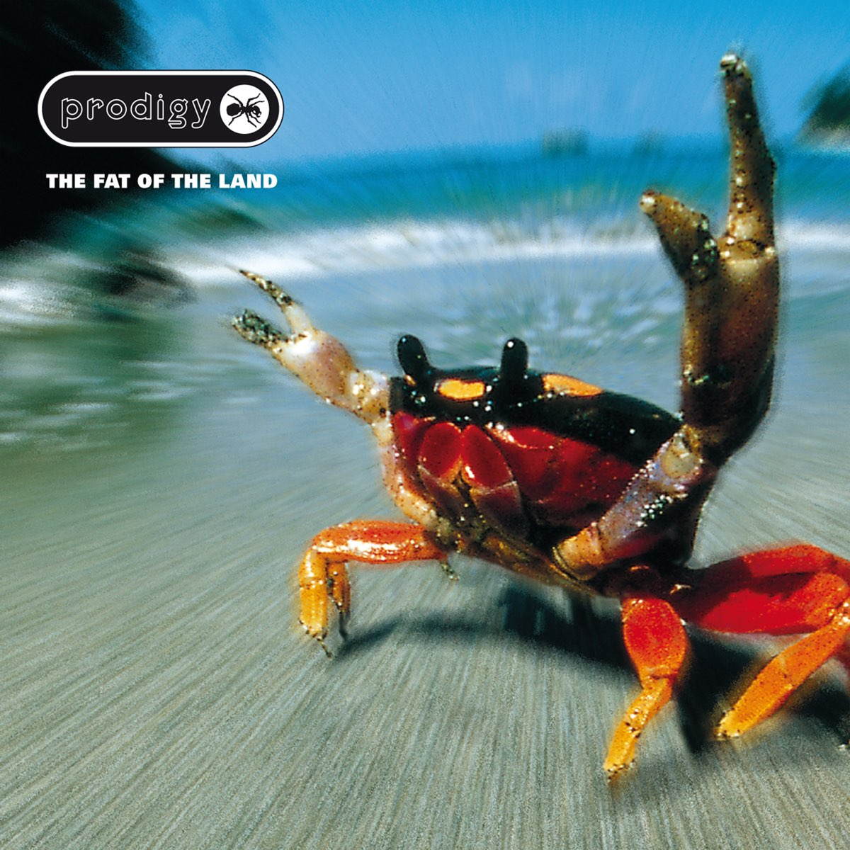 Электроника XL Recordings The Prodigy - The Fat Of The Land birds of a feather the page one recordings 1 cd