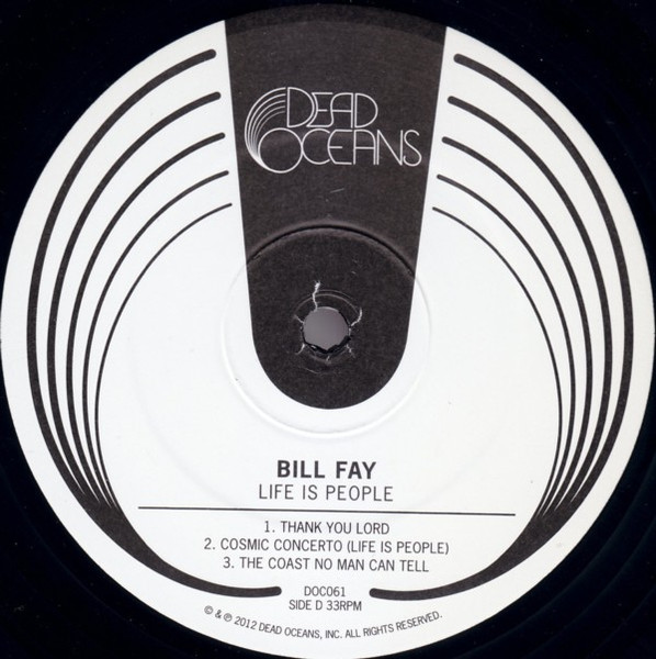 Рок Universal US Bill Fay - Life Is People (Black Vinyl 2LP) - фото 2