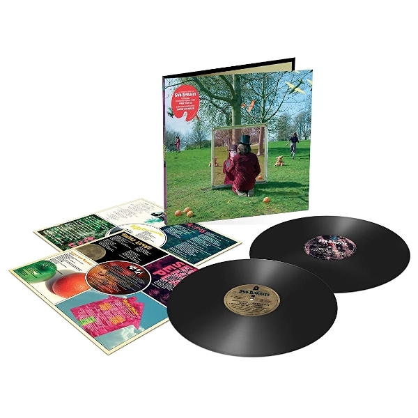 Рок Syd Barrett BARRETT SYD - An Introduction To Syd Barrett (2LP) - фото 2