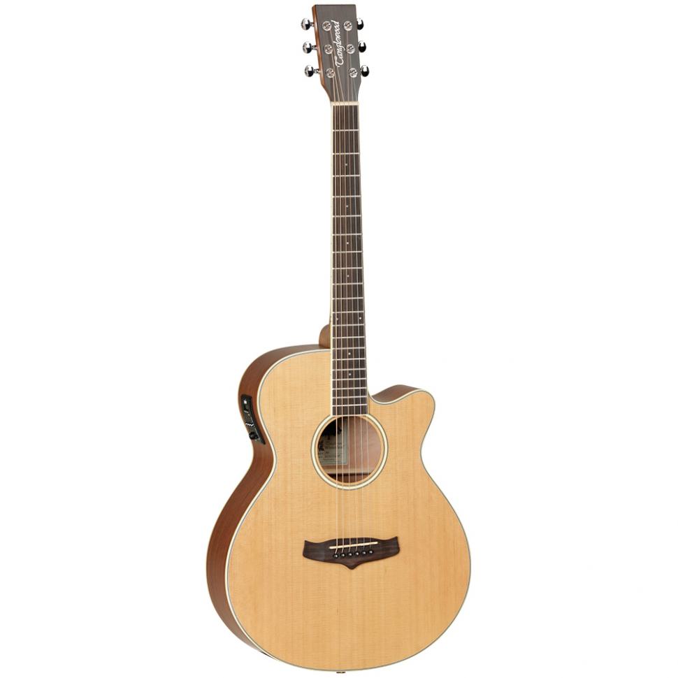 Электроакустические гитары Tanglewood TW9 E