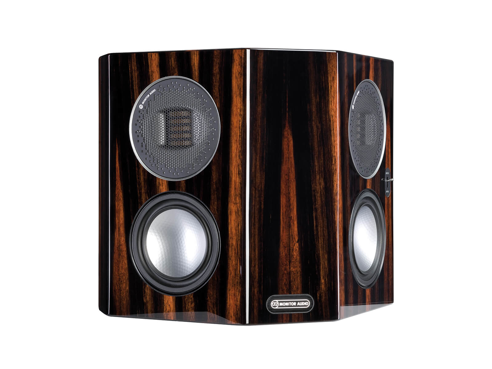 Настенная акустика Monitor Audio Gold Series (5G) FX Piano Ebony центральные каналы monitor audio gold с250 5g dark walnut