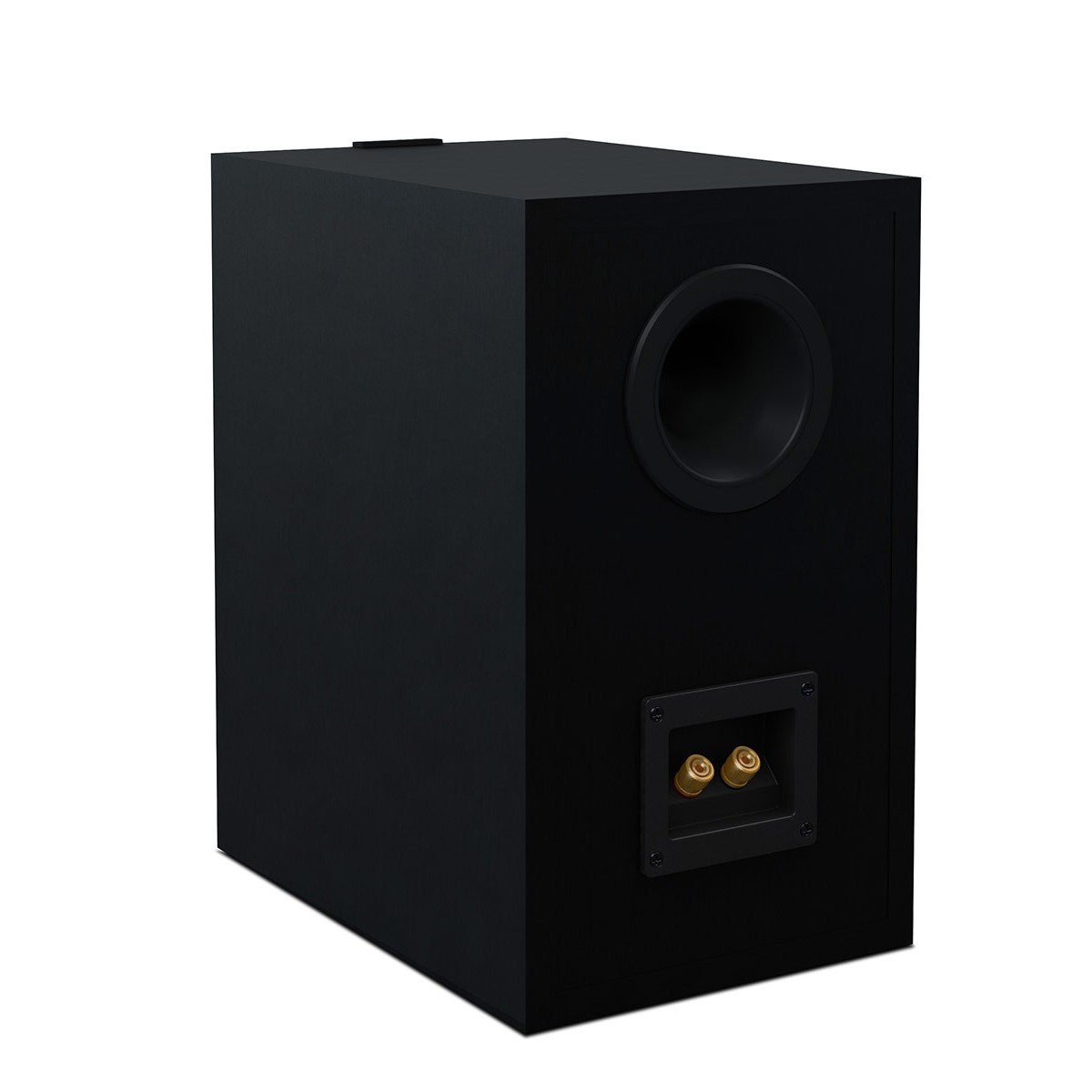 C полочной акустикой IOTAVX IOTAVX PA3 + KEF Q350 Satin Black, цвет черный - фото 2