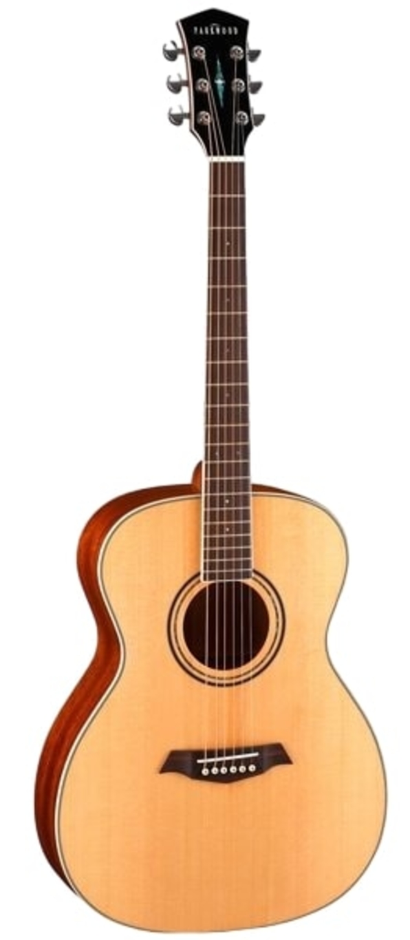 Акустические гитары Parkwood S62 (чехол в комплекте) электроакустические гитары parkwood s66 чехол в комплекте