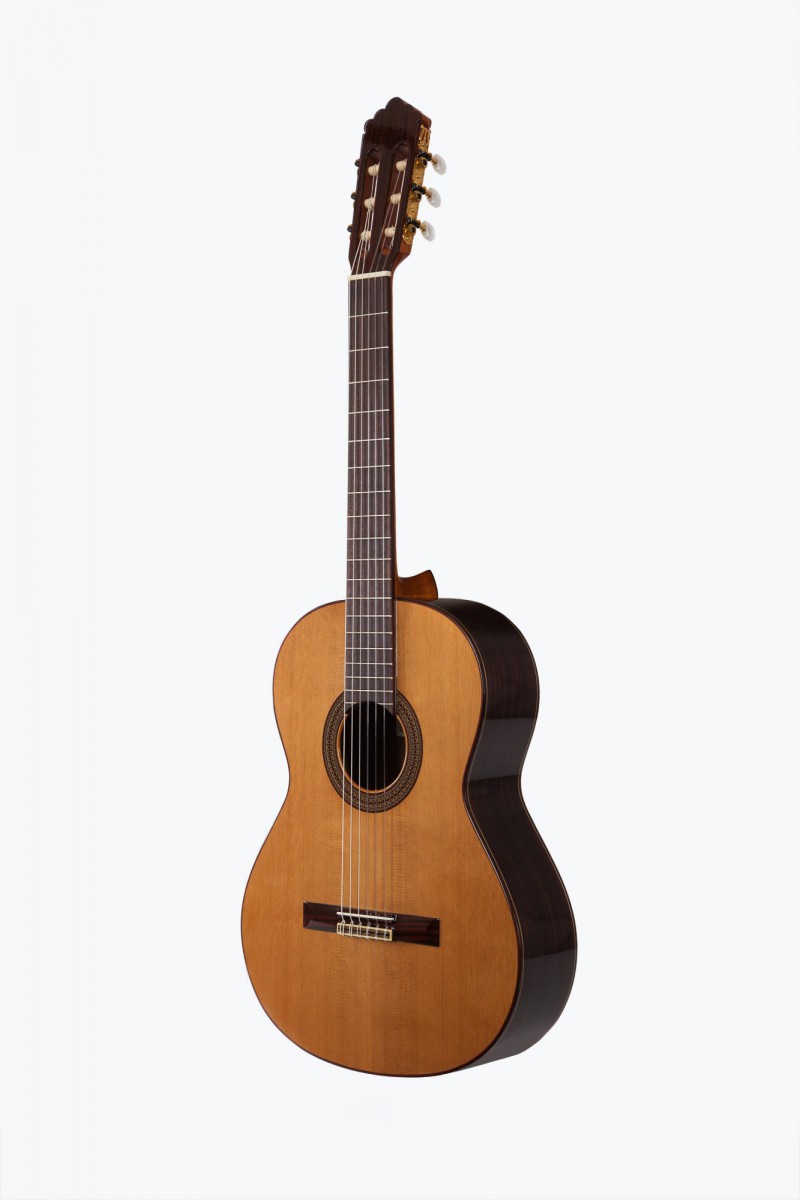 Классические гитары Prodipe JMFSOLOIST500 Soloist 500