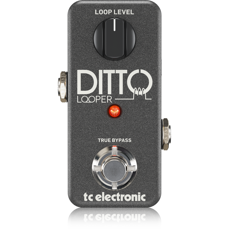 Процессоры эффектов и педали для гитары TC ELECTRONIC DITTO LOOPER, цвет черный - фото 2