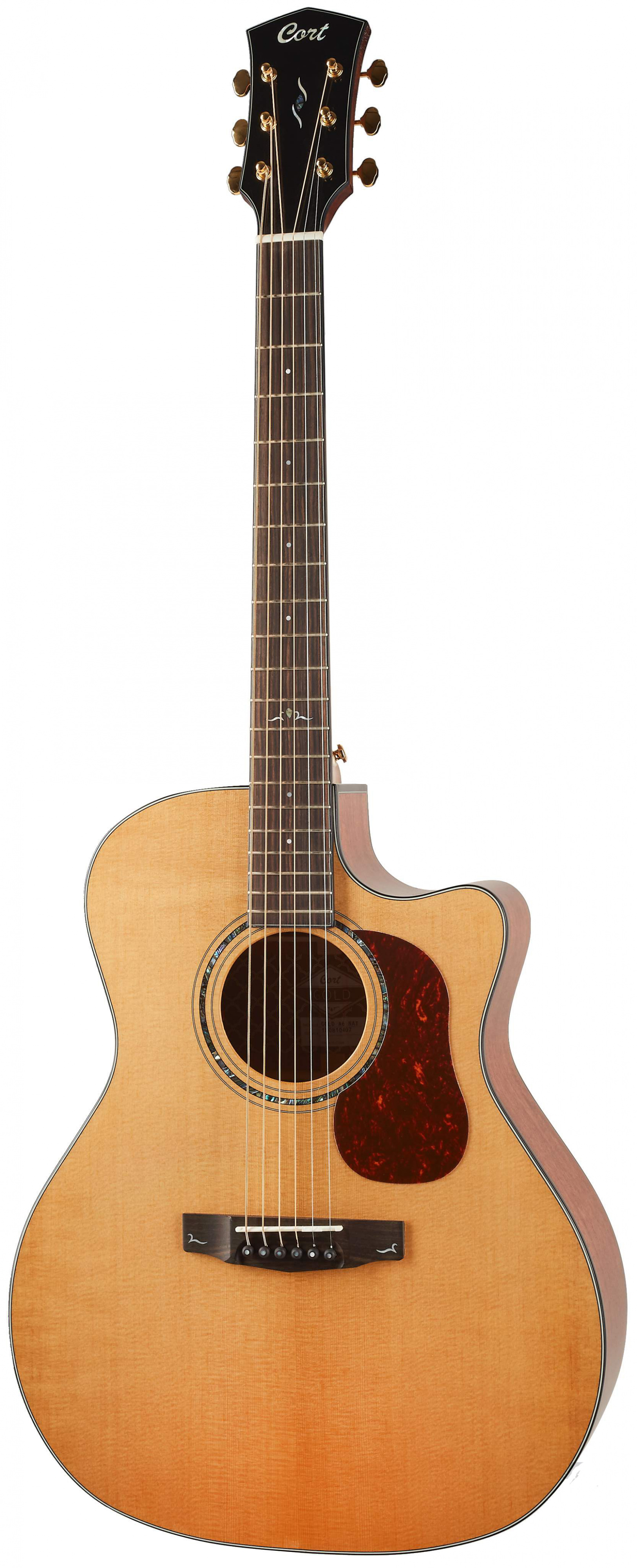 Электроакустические гитары Cort Gold-A6-WCASE-NAT электрогитары cort g250 spectrum wbag meg чехол в комплекте