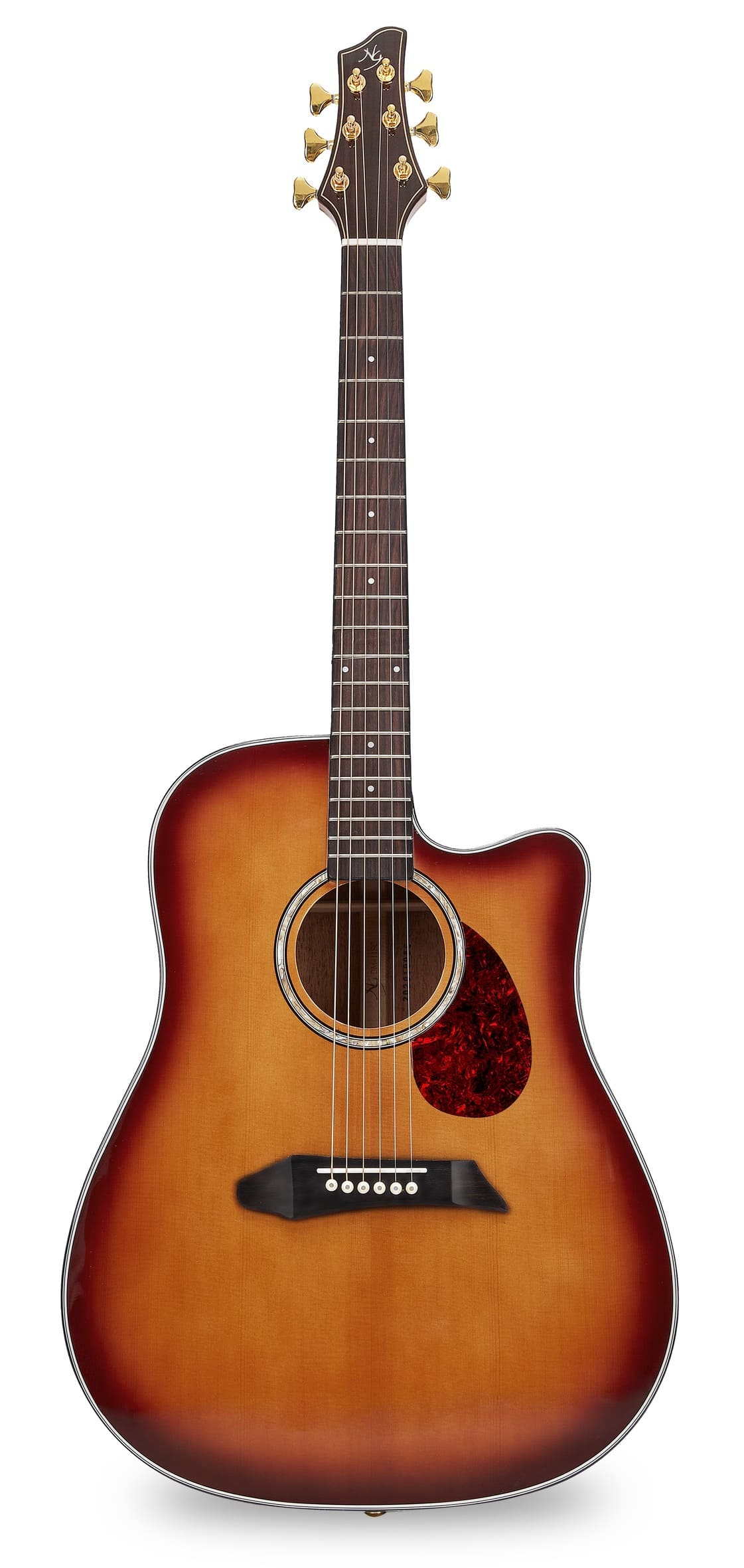 Акустические гитары NG DM411SC Peach акустические гитары ng am411sc peach