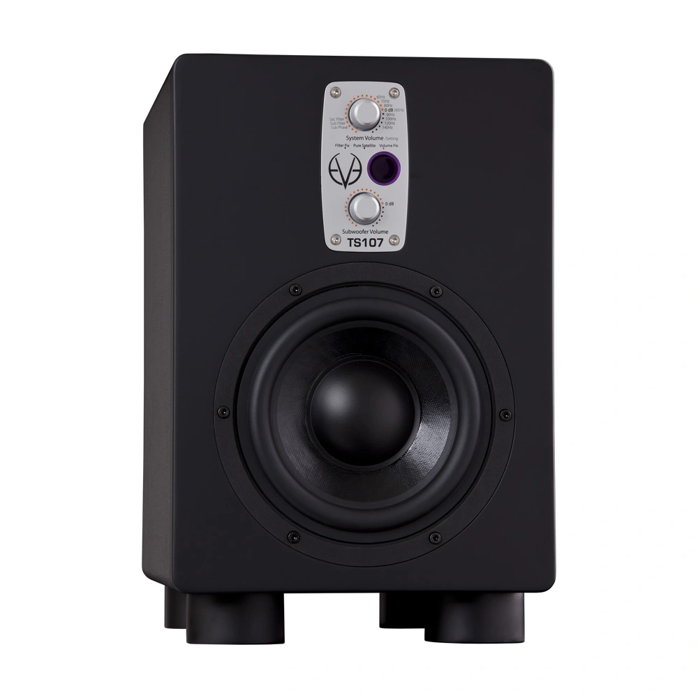 Студийные мониторы EVE Audio TS107 студийные мониторы fluid audio fx80