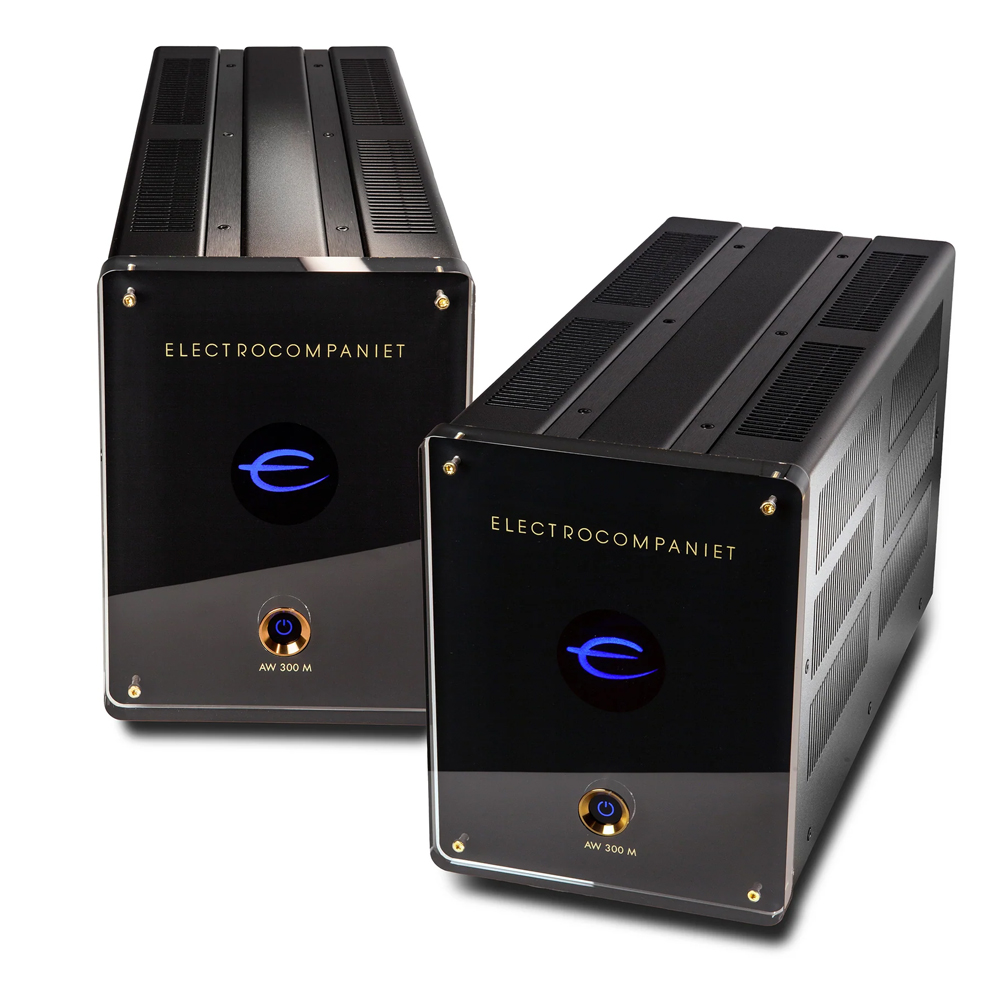 Усилители мощности Electrocompaniet AW 300М усилитель мощности audiocenter artist t4 4v
