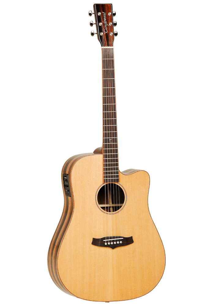 Электроакустические гитары Tanglewood TWJD CE