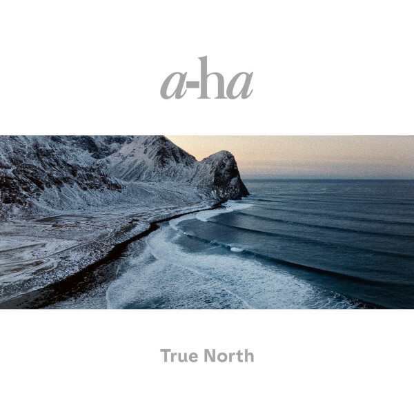 Рок Sony Music a-ha - True North (Black Vinyl 2LP) вельветовая толстовка с капюшоном the north face nm5pn52b