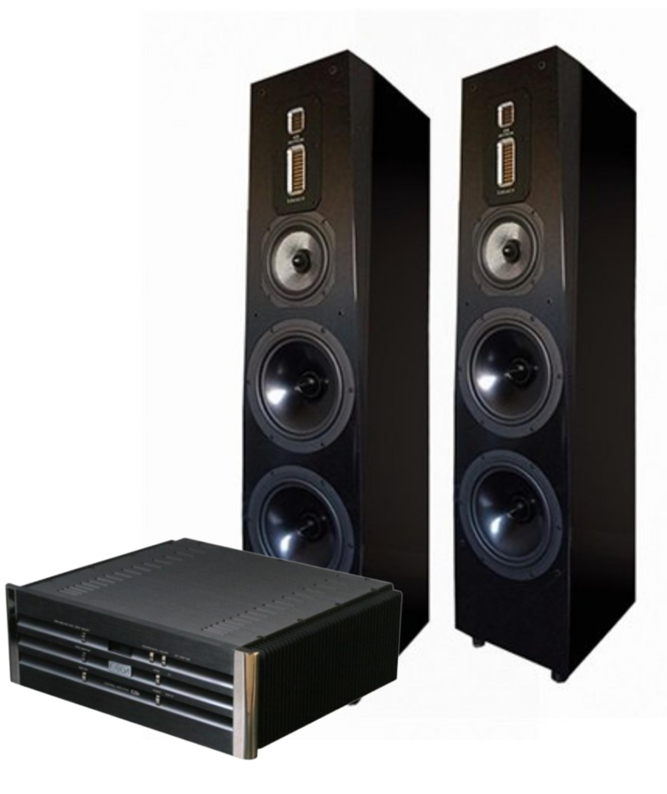 Активная напольная акустика Coda Csib + Legacy Audio Signature SE Black Oak