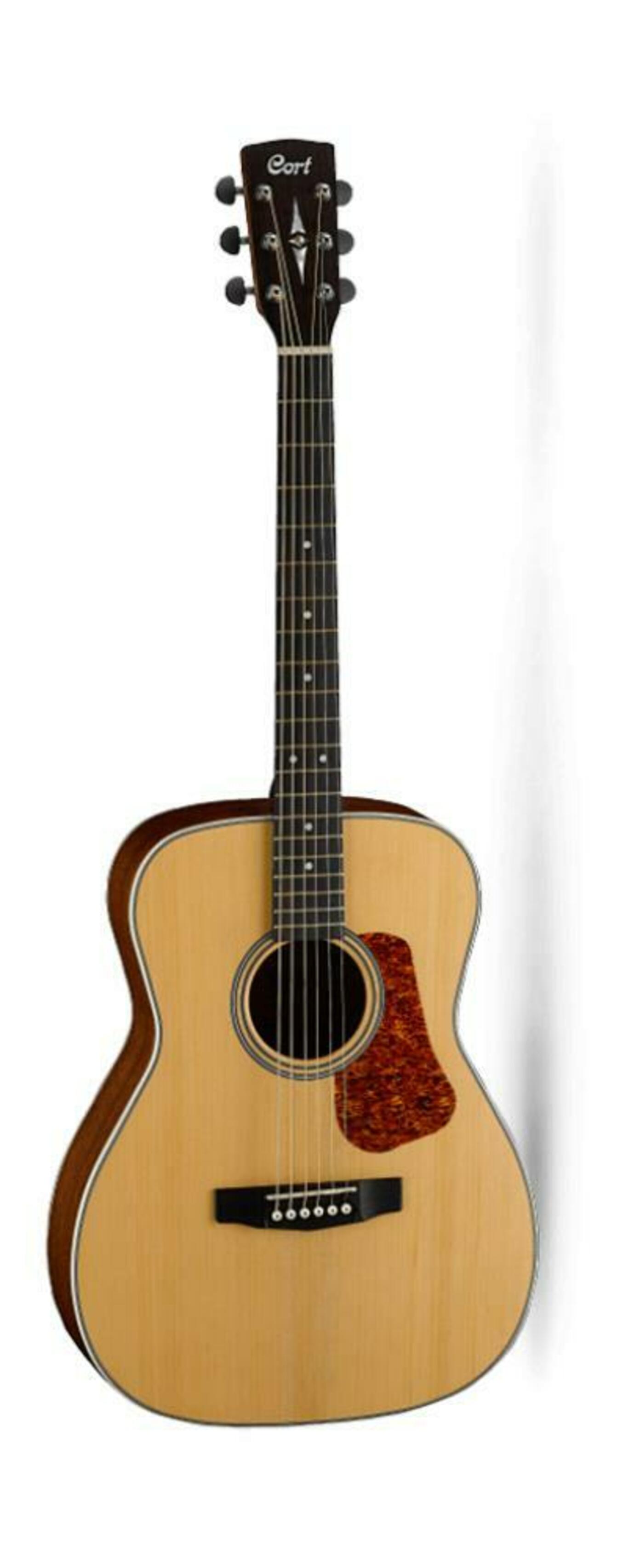 Акустические гитары Cort L100C-NS классические гитары ortega r121 family series чехол в комплекте