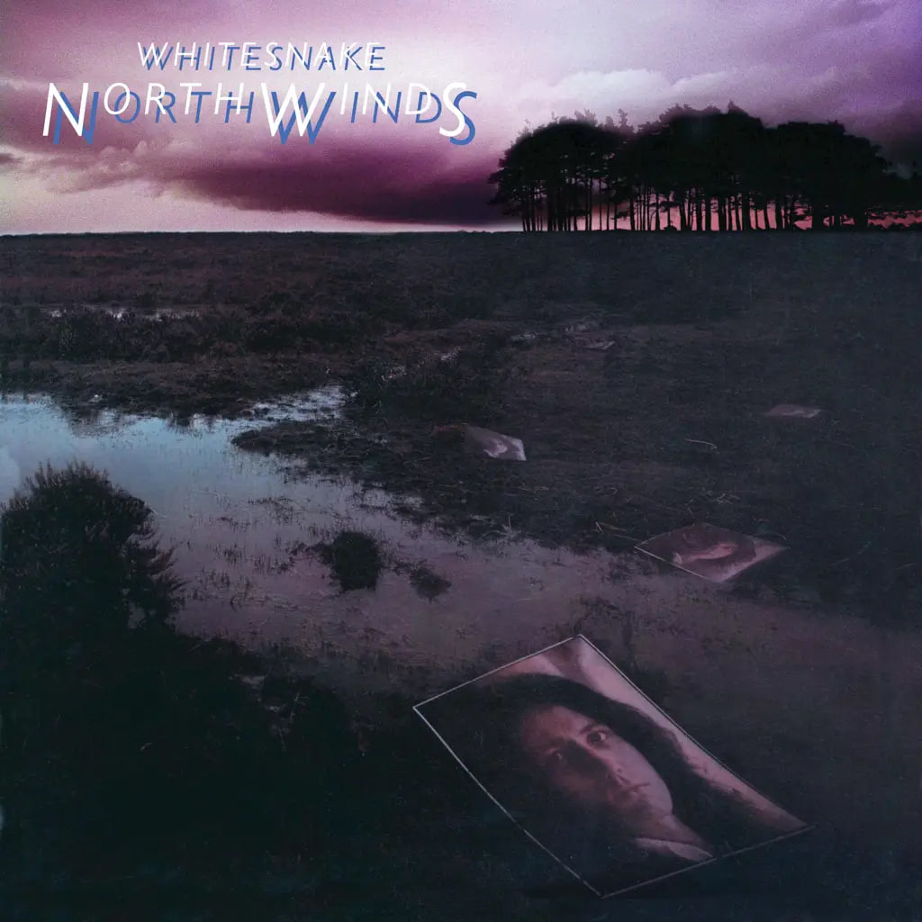 Рок Rhino Records Whitesnake - Northwinds (Black Ice Limited LP)