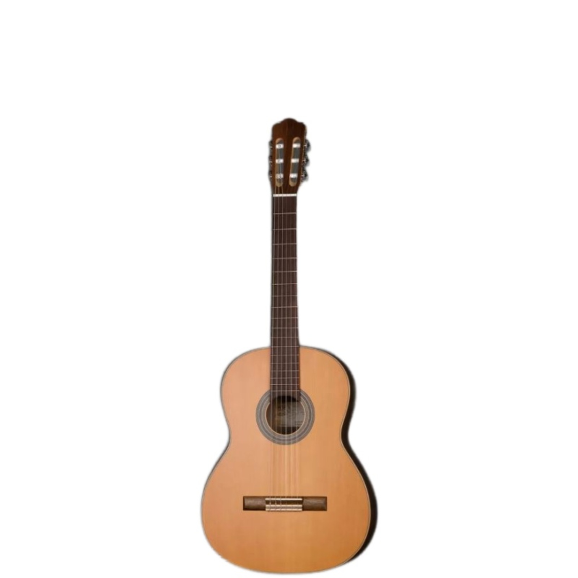 Классические гитары Hora SS300 Eco Walnut акустические гитары hora w12205 nat standart western