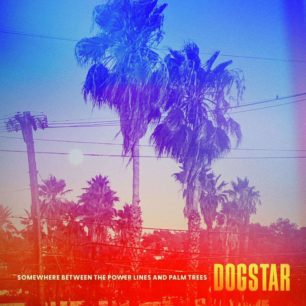 Рок Warner Music Dogstar - Somewhere Between The Power Lines and Palm Trees (Black Vinyl LP) 100mm arcade push button led microswitch music game illuminated 12v power pressing hitting button switch rhythm machine