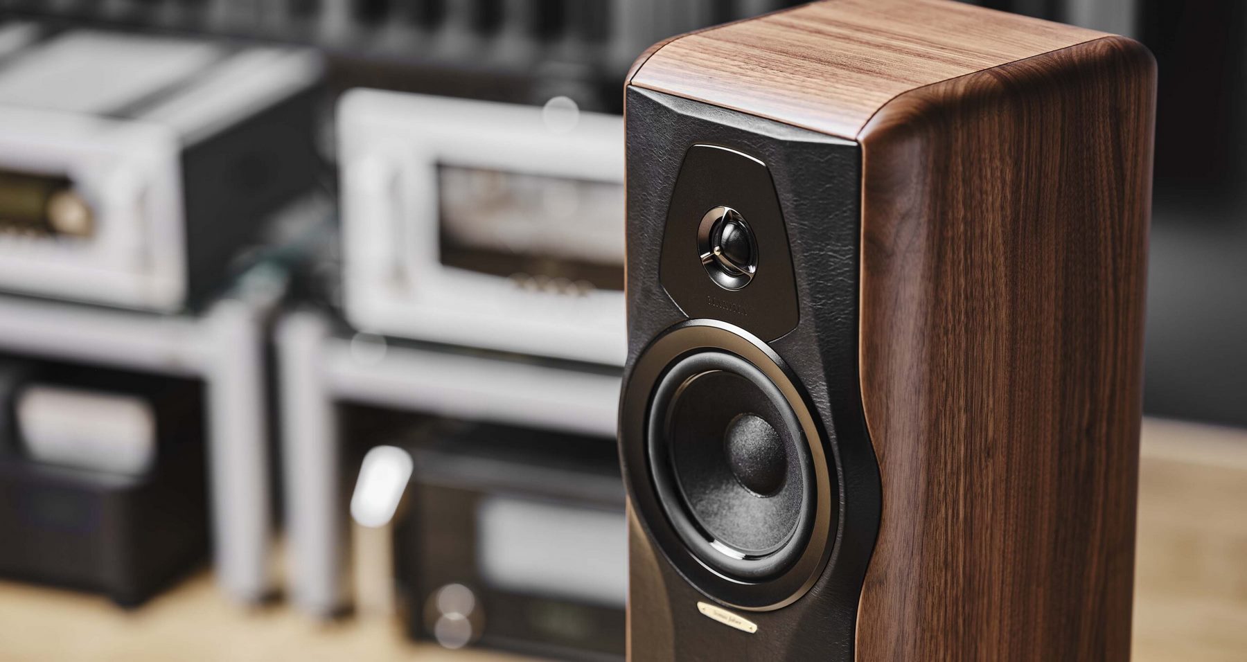 Напольная акустика Sonus Faber Maxima Amator, размер 1 - фото 9